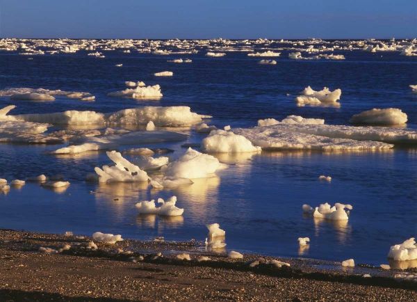 Canada, Churchill, ice floe in Hudson Bay